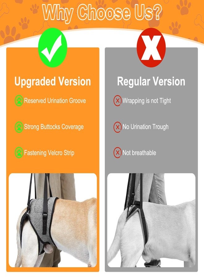 VINGVO Dog Sling for for Small Dogs Hind Leg Support, Dog Lift Harness for Back Legs Rehabilitation, Hip Brace Support Closure Adjustable Strap Large Elderly Dogs Lift Harness (S) - Image 4